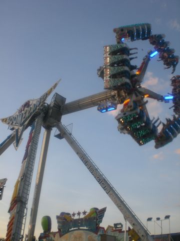 Boomerang Nº1